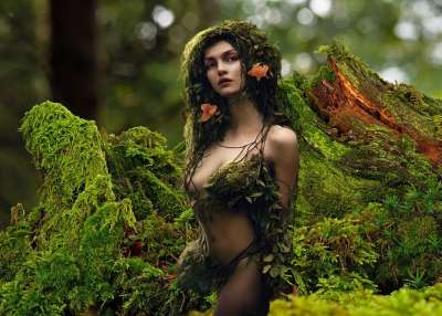 森林精灵 树木 幻想 背景 绿色 女士 精灵 森林 苔藓