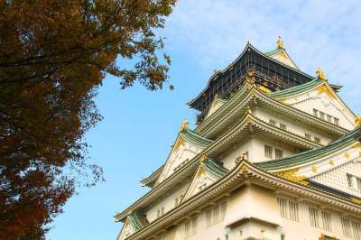 城堡 秋天 结构 建造 美丽的 景点 大阪城堡 天空 蓝色的