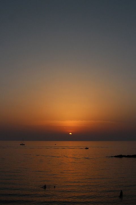日落 海 垂直的 背景 天空 橙色 地平线 泳客 波浪 夏天