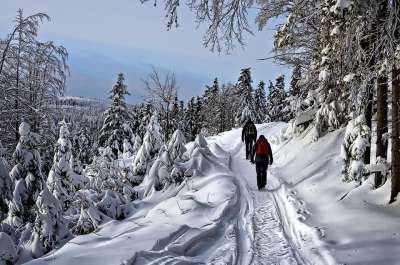 冬季 旅游 景观 视图 雪 游客 人民 该人 行进 方式