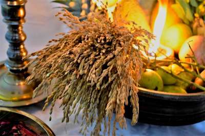 Vishu 喀拉拉邦 庆典 Vishukkani 印度教 宗教 节日