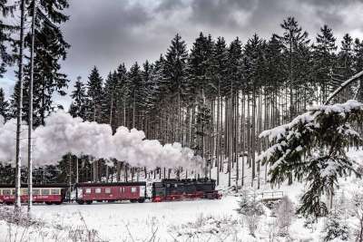 膳Schmalspuhrbahn 冬季景观 开足马力 雪 冬天 树