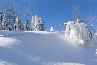 冬季景观 雪 圣诞节 十二月 白雪皑皑的森林