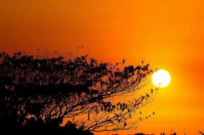 伟大的印菲律宾 乔治巴黎 金色的夕阳 美丽的夕阳 景观 太阳 天空