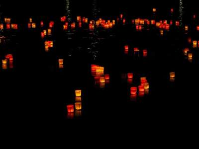 灯 蜡烛 漂浮蜡烛 灯的节日 灯小夜曲 乌尔姆 红色的 黄色