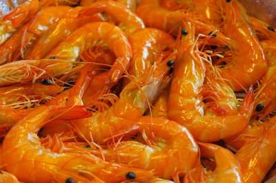 食品 美食家 海鲜 蔬菜 虾