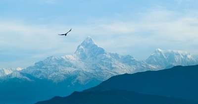 山 天空 有雾的 鸟 尼泊尔 Macchapuchhre 景观