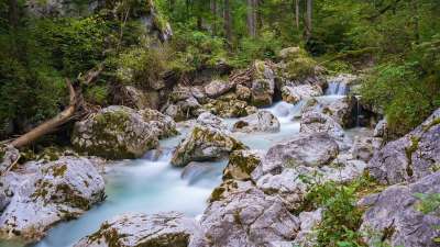 流动 岩石 自然 森林 水 树木 溪流 溪 石头 景观