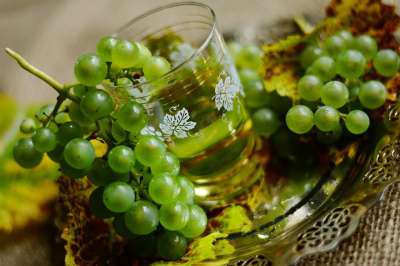葡萄 葡萄酒 白葡萄酒 红酒杯 水果 葡萄酒种植 葡萄栽培 绿葡萄