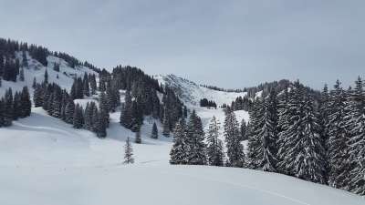 大牛头 阿尔高 贡泽里德山谷 冬天 雪 冬季运动 首脑 森林