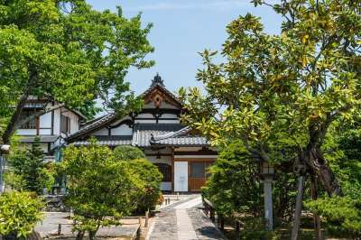 日本 岚山 京都 寺庙 自然 绿色 树木 日本人 风景秀丽的