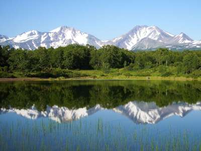 森林湖 森林 山 火山 反射 夏天 热 洗澡 水 沉默