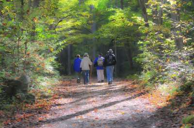 远足 踪迹 黑烟山 山路 徒步旅行者 自然 徒步旅行 行走的人