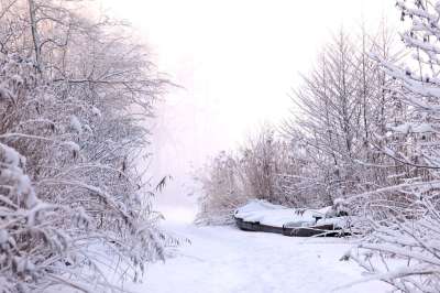冬天 雪 冰 刺骨的寒冷 冻结 霜 景观 性质 徒步旅行 成熟