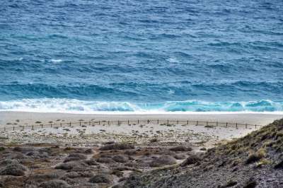 海滩 海浪 哥斯达黎加 景观 沙 蓝色的