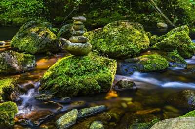 水 流动 自然 景观 石头 河岸 浪漫的 情绪 气氛 水域