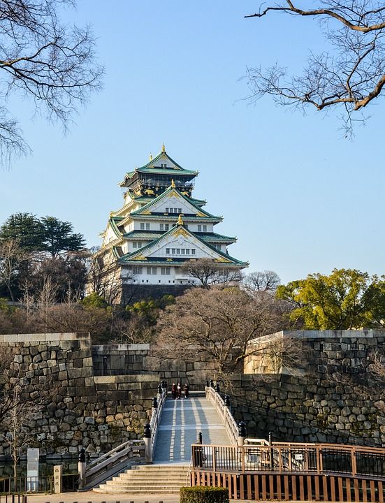 城堡 地标 结构 历史 大阪 日本 堡垒 蓝色的历史 蓝堡