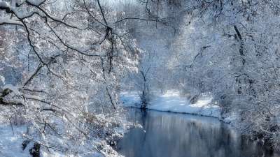 冬天 冬梦 冬季景观 冬季魔法 雪景 霜 雪魔 冬季的心情