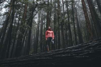 自然 景观 人们 女士 树木 森林 旅行 冒险 树叶 灰色林
