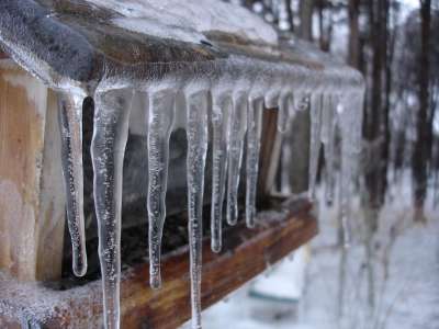 冰柱 冻结 寒冷的 雪 冬天 冰冷的 喂鸟器 绞刑 下雪的