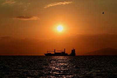 日落 船 轮廓 海 阳光 血管 货物 鸟 颜色 橙色的 黄色
