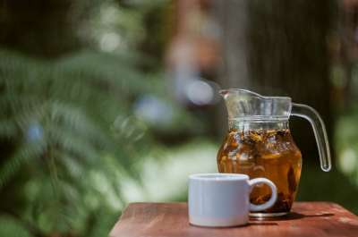 杯子 马克杯 树木 树叶 自然 表 茶