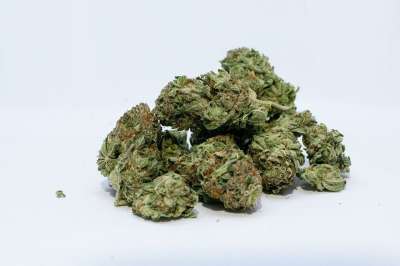 大麻 杂草 芽 绿色 锅 医疗的 自然 药品 Thc 草本植物