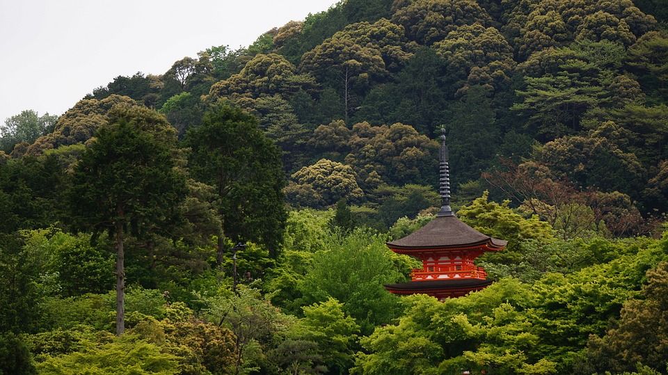 京都, 风景, 寺庙, 亚洲, 屋顶, 树木, 景观, 寺庙, 寺庙, 寺庙