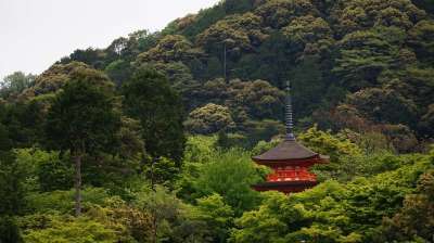 京都 风景 寺庙 亚洲 屋顶 树木 景观 寺庙 寺庙 寺庙