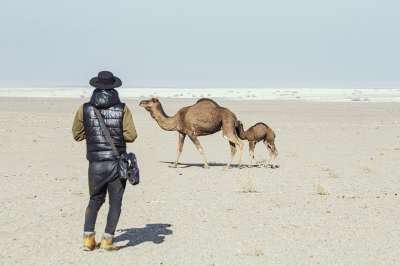 骆驼 马兰贾布沙漠 伊朗 沙漠 旅游景点 动物 游客 旅游 旅行