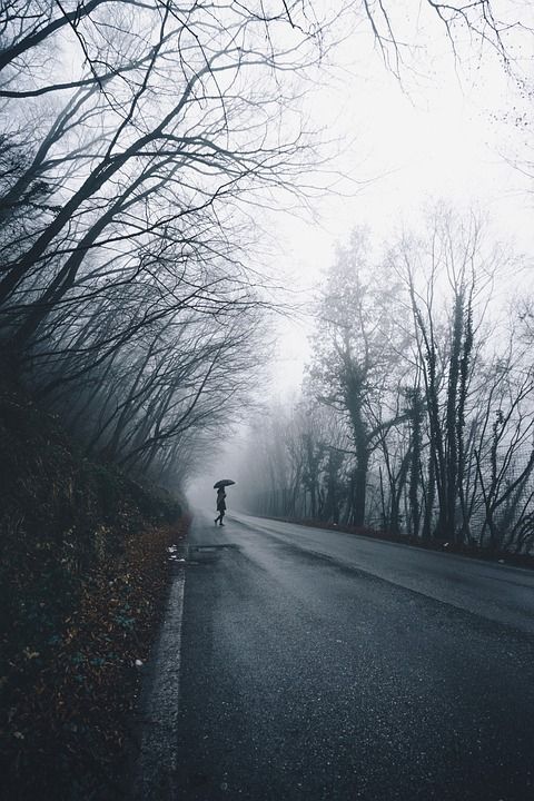 人们 女士 雨伞 雨 独自的 路 旅行 冒险 树木 森林