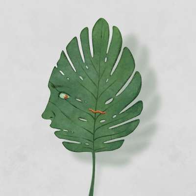 树叶 昆虫 虫 植物 想象力 幻想 创造力 绘画 艺术 轮廓