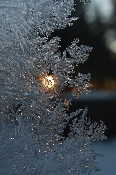 弗罗斯特 窗户 冬天 雪 凉爽的 白 是 景观 信息化 冰晶