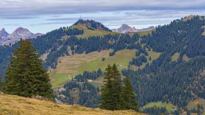 山 森林 山地景观 落下 景观 自然 阿尔卑斯山