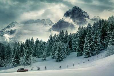 冬季景观 冬天 雪 雪景 滑雪假期 自然 景观 寒冷的 冬季魔法