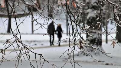 冬季 走 夫妻 在早上 雪 冬天的心情 冻结 冰冷的 田园 冷
