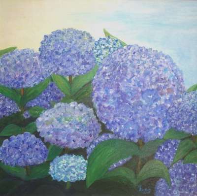 绣球花 蓝色的 绘画 图片 艺术 作画 染 艺术的 艺术家