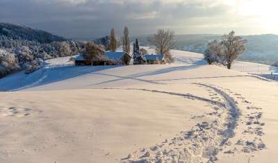 冬天 山 舱 雪 景观 树木 农村 雪堆 雪路径 冬季景观