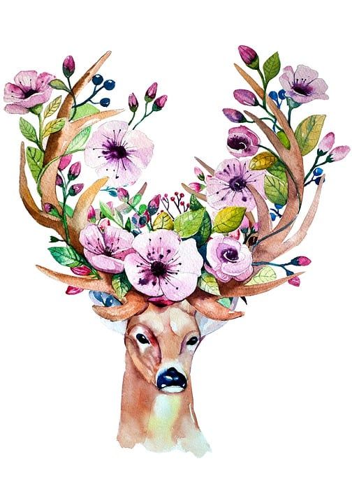 鹿 花 树 水的颜色 绘画 画画 艺术 草图