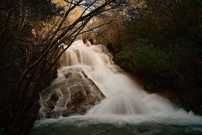 河 水 森林 丝绸效果 瀑布