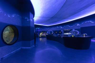 水族馆 旅行 旅游景点 城市 动物园