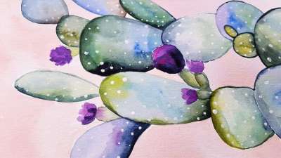 仙人掌 花 植物 自然 绿色 Sukulent 画 艺术 水彩