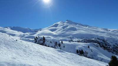 山 滑雪 冬天 寒冷的 户外的 阿尔卑斯山 滑雪场 全景