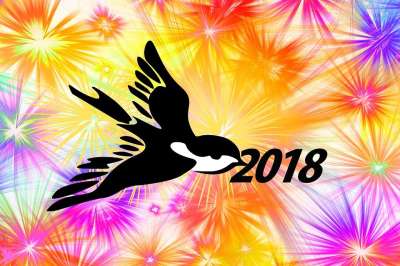 烟花 新的一年的一天 问候 鸟 喙 欢迎 节日 黄色 广告