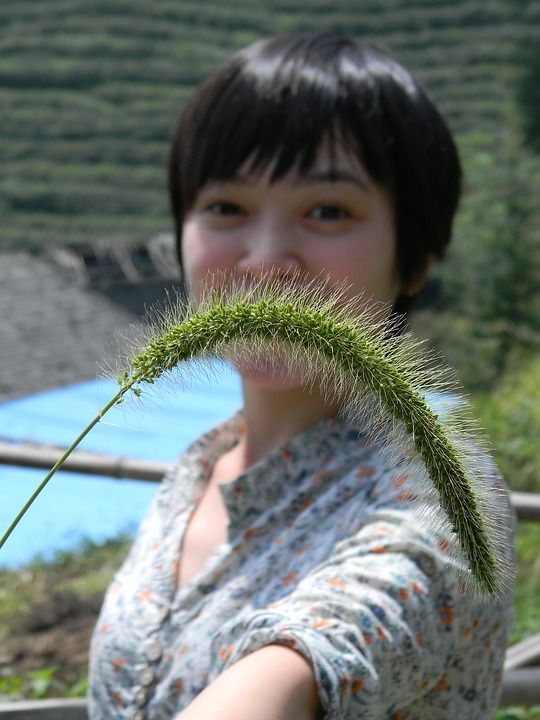 眼睛 短发 美女 田园 开心 清新