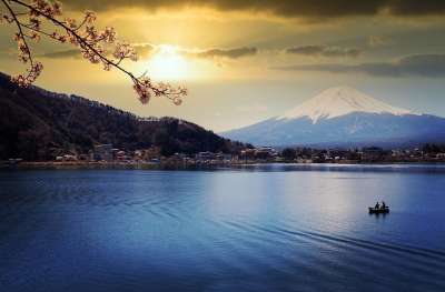 湖 富士山 日落 水 自然 樱花 黄昏 太阳 阳光 火山