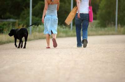 狗 步行 女士 宠物 走 女性 皮带 锻炼 户外 犬类 小狗