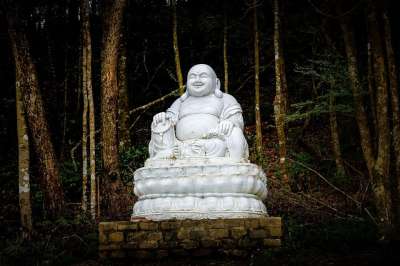 佛教徒 雕像 佛教 宗教 寺庙 佛 亚洲 宗教的 旅行 文化