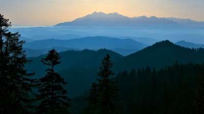 山 地平线 森林 自然 景观