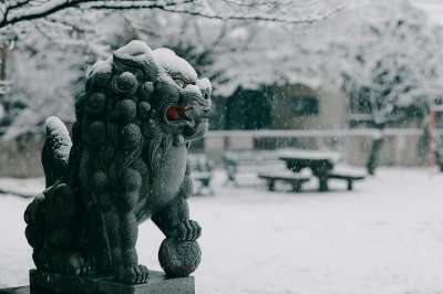 狮子 雕像 冬天 季节 降雪 艺术 展示 下雪 雪 雕塑